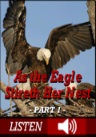 As the Eagle Stireth the nest